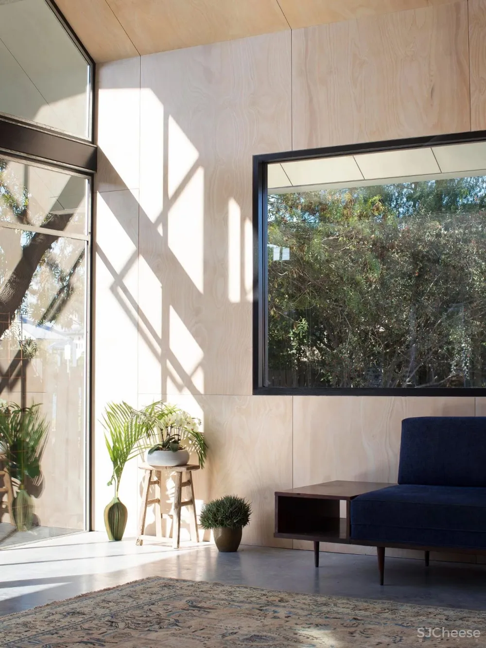 南方洪灾告急，这些建筑给我们带来防灾灵感