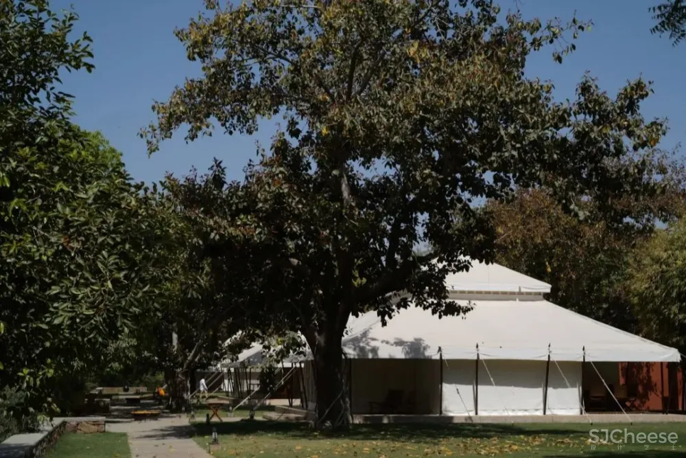 每晚均价3万 ，安缦CampSarika戳中你的，其实还是孤独感！