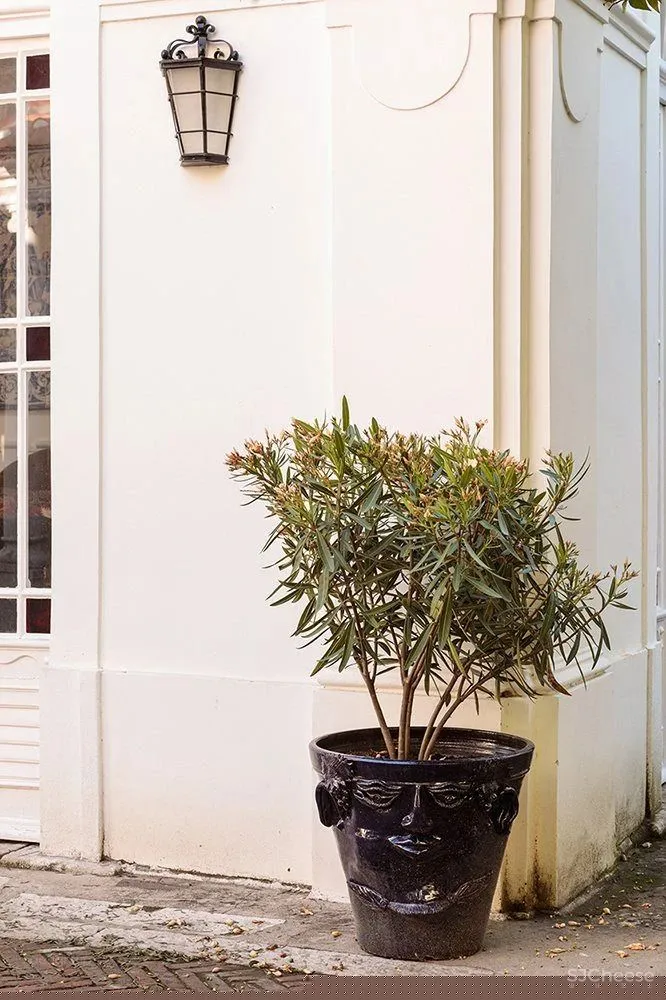 “红底鞋之父”的家：阳光与色彩洋溢的“宫殿”