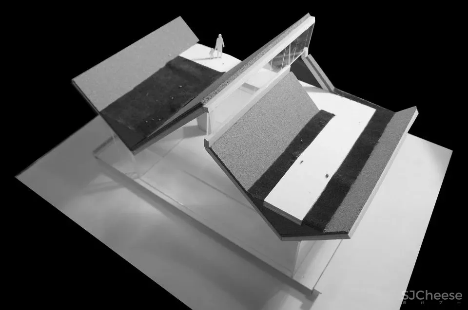 深度 崇明东滩湿地科研宣教中心：“举重若轻”