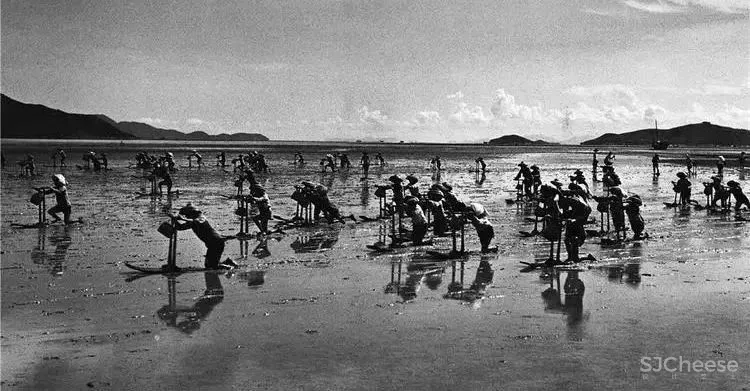 CCD-忙闲集 · 深圳机场凯悦酒店!