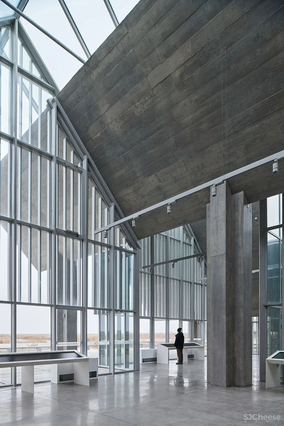 深度 崇明东滩湿地科研宣教中心：“举重若轻”