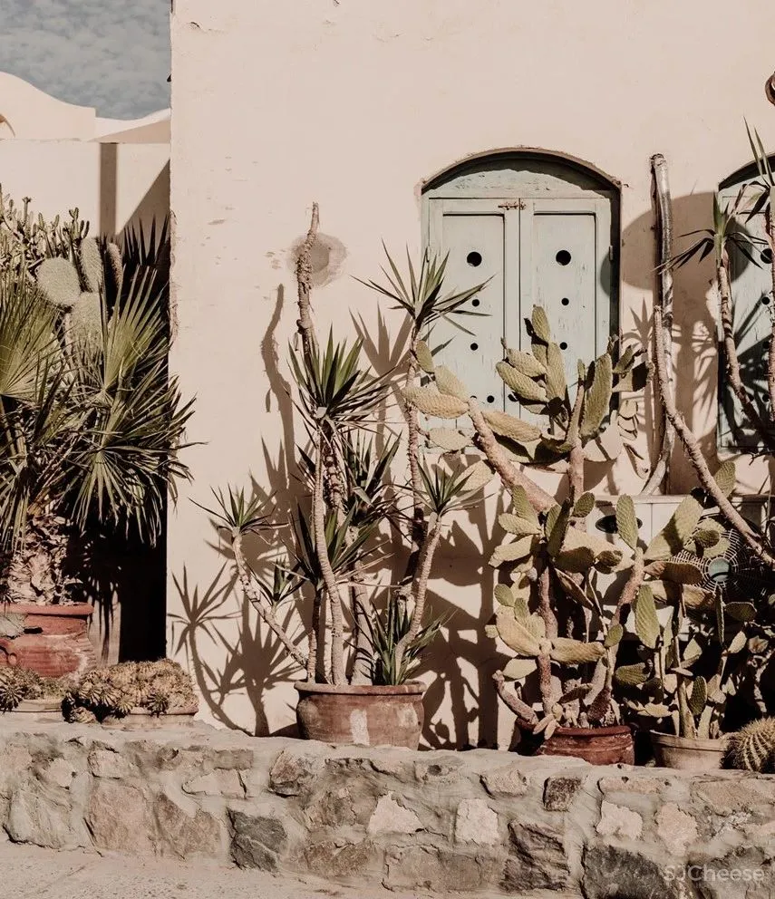 埃及新出的侘寂系酒店,心灵治愈的度假范本