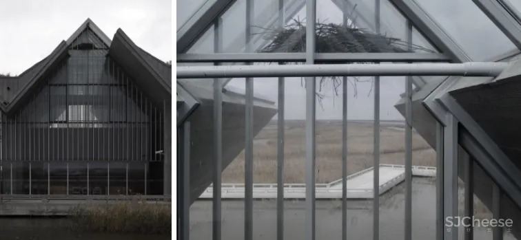 深度 崇明东滩湿地科研宣教中心：“举重若轻”