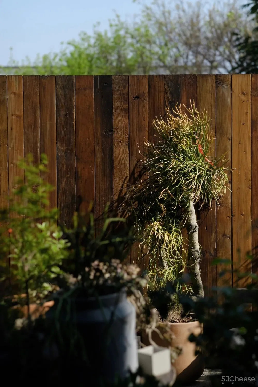 利物因：是酷到没边儿的家具馆，更是爱与自由的据点