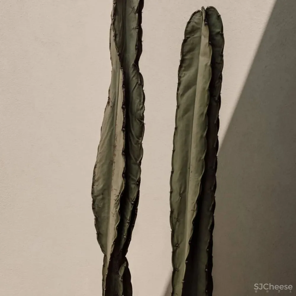 埃及新出的侘寂系酒店,心灵治愈的度假范本