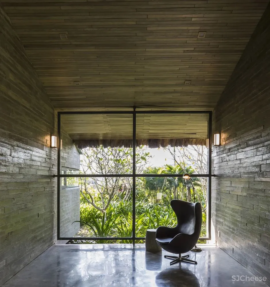 在郁郁葱葱的花园中,聆听大自然的旋律和声音