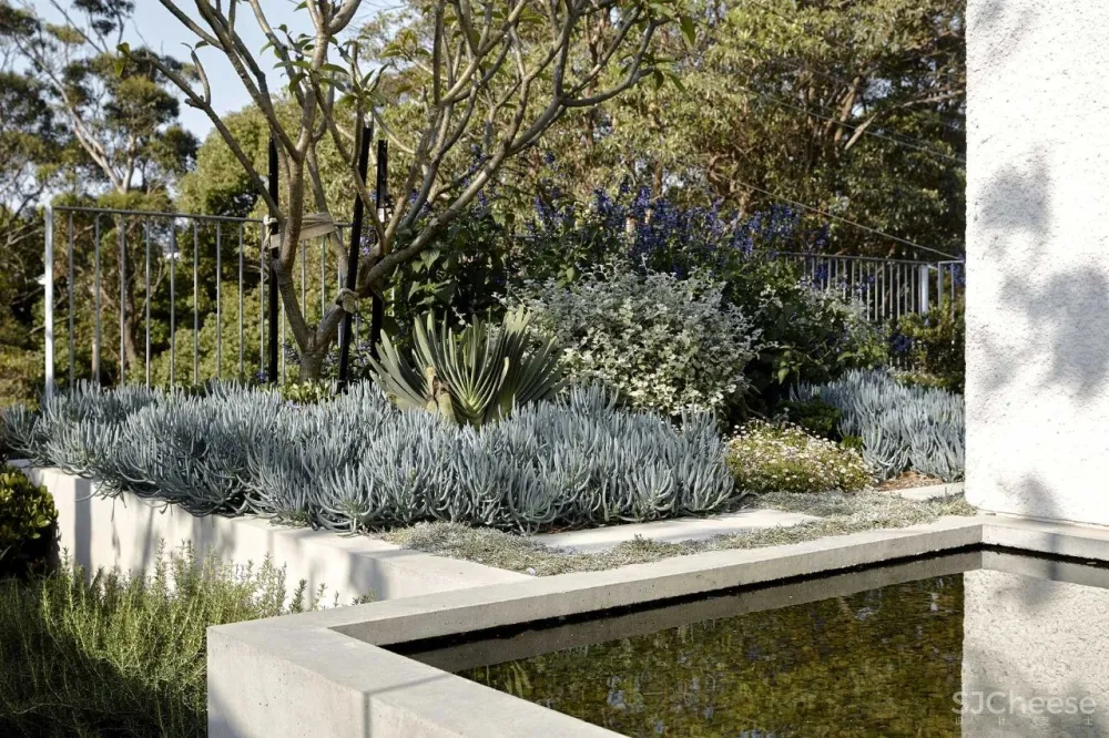 MADELEINE BLANCHFIELD ARCHITECTS