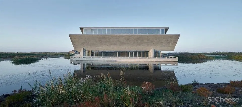 深度 崇明东滩湿地科研宣教中心：“举重若轻”