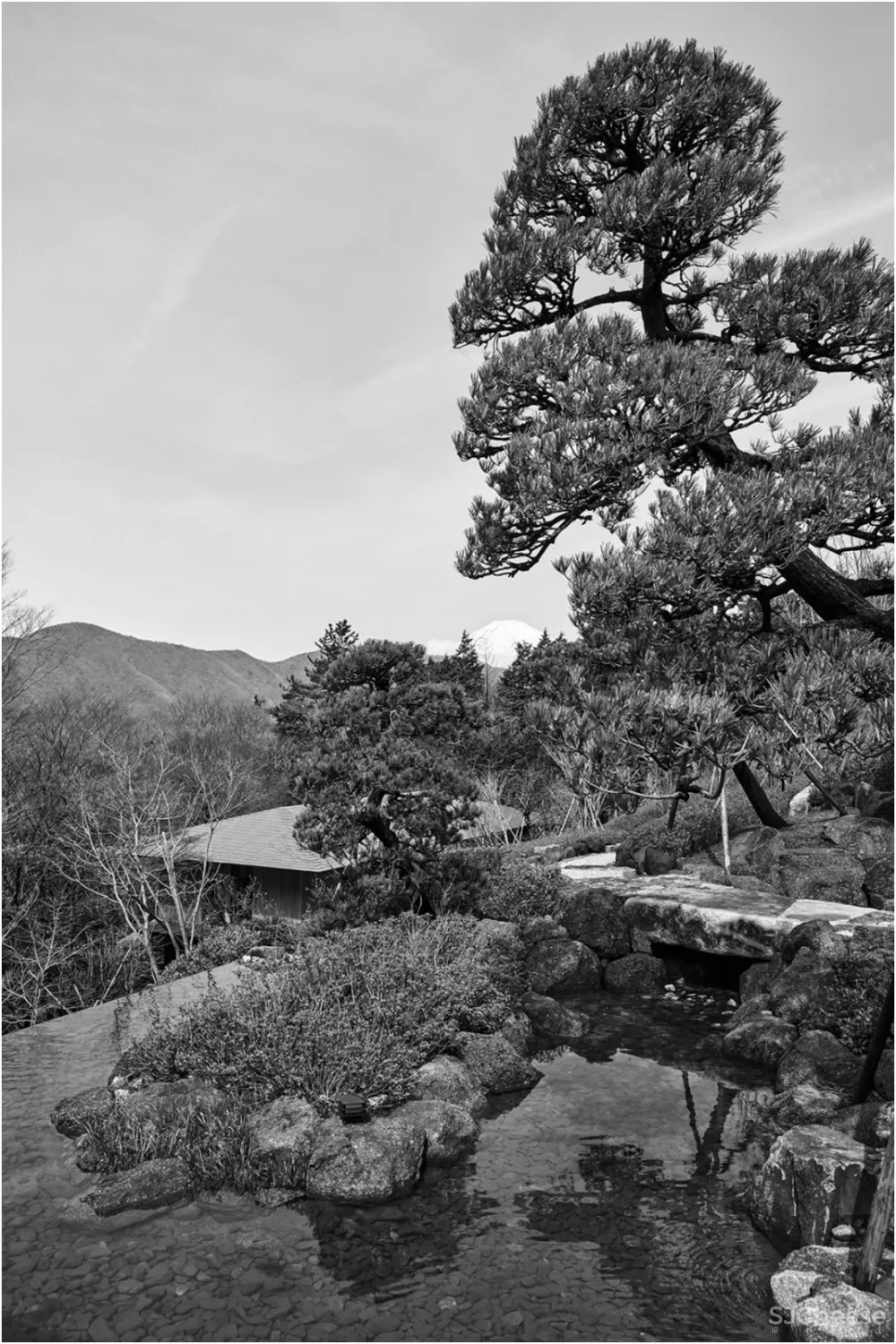 日式民宿,一切都是自然本身
