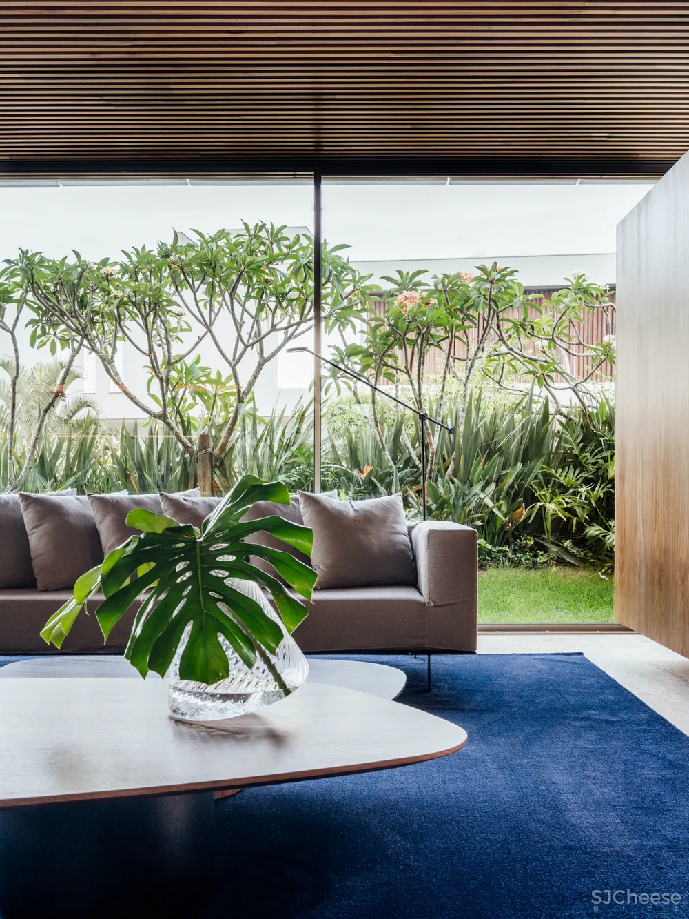 6个独特的巴西房子,开窗和开门的方式太酷了!