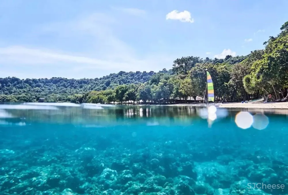 每晚均价3万 ，安缦CampSarika戳中你的，其实还是孤独感！