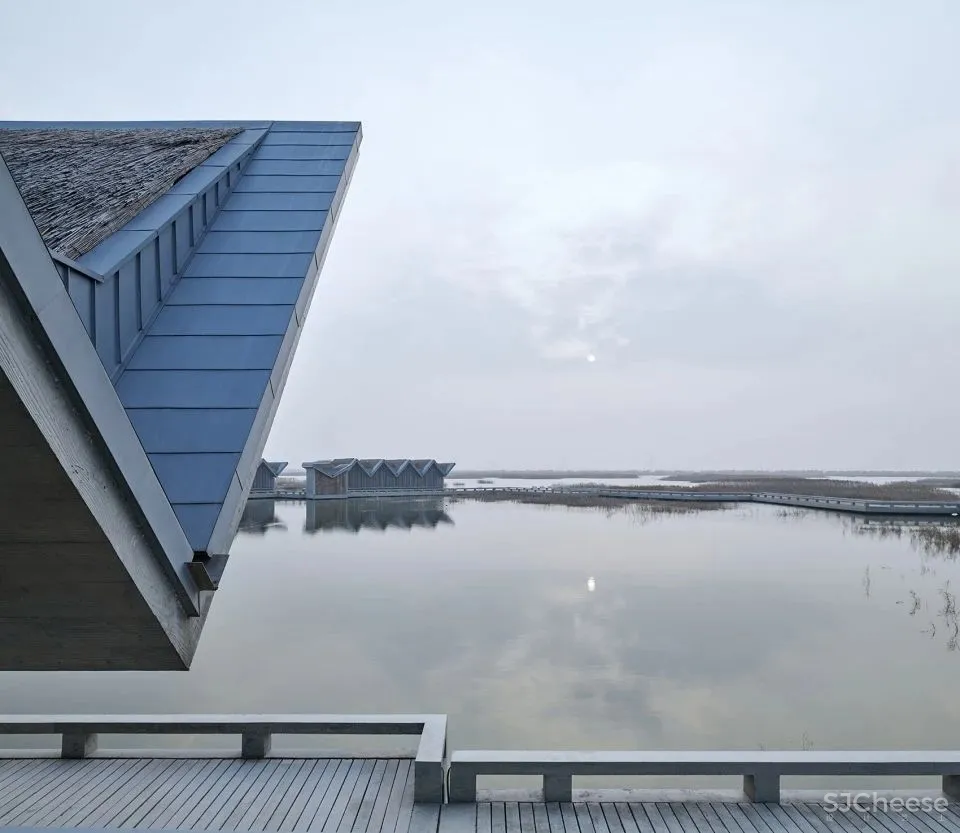 深度 崇明东滩湿地科研宣教中心：“举重若轻”