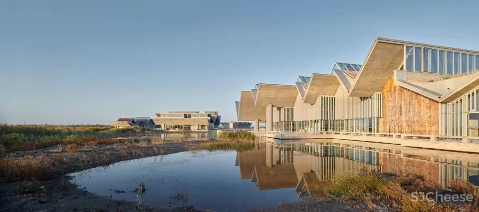 深度 崇明东滩湿地科研宣教中心：“举重若轻”