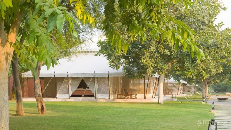 每晚均价3万 ，安缦CampSarika戳中你的，其实还是孤独感！