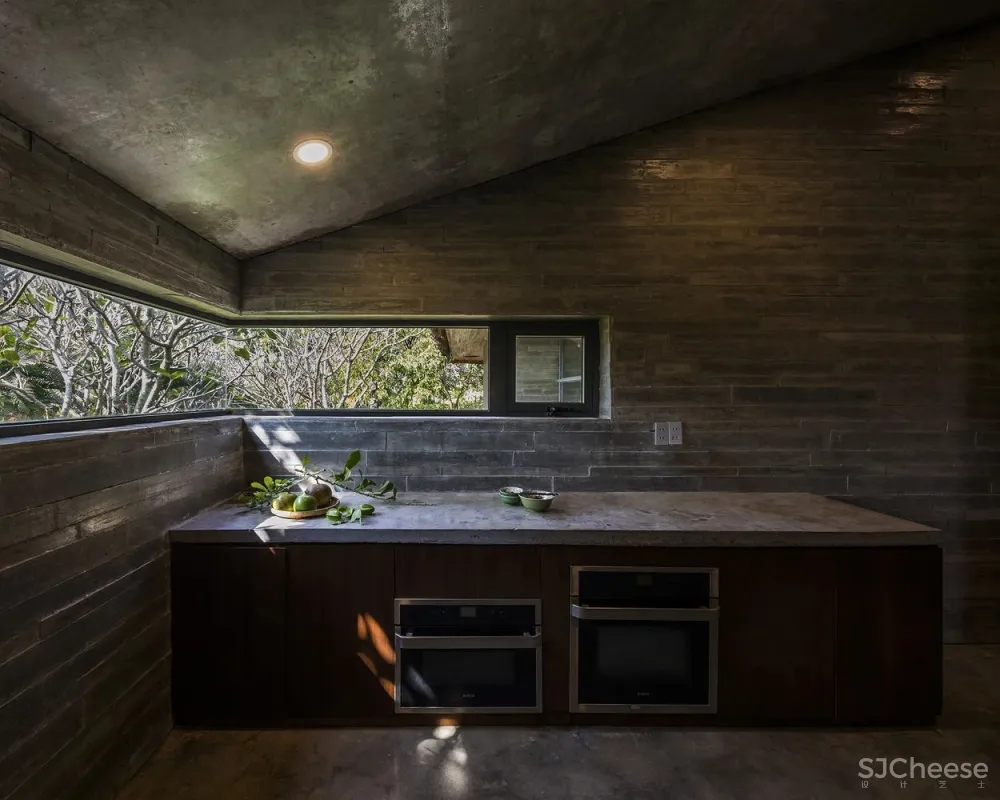 在郁郁葱葱的花园中,聆听大自然的旋律和声音