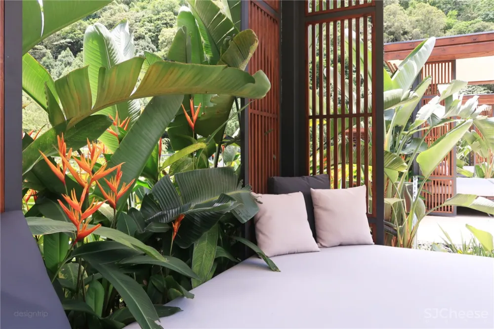 亚洲顶尖酒店 ，大隐山林，野奢成趣