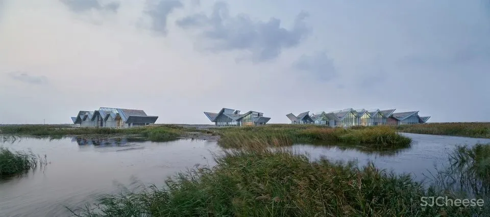 深度 崇明东滩湿地科研宣教中心：“举重若轻”