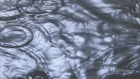 流动的生命线,进则生长,退则融合 品辰设计