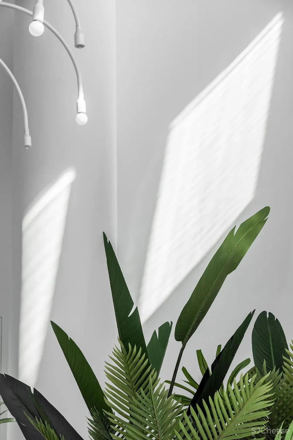 G ART 集艾:极简流线,构筑非凡艺术灵性!