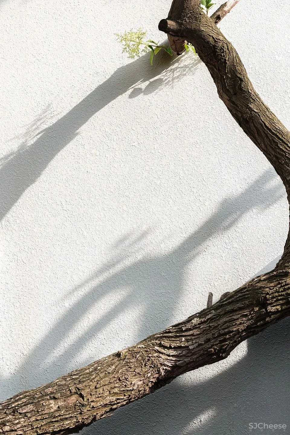 Wutopia Lab新作 收藏者之家:真实与虚构交织的暧昧空间