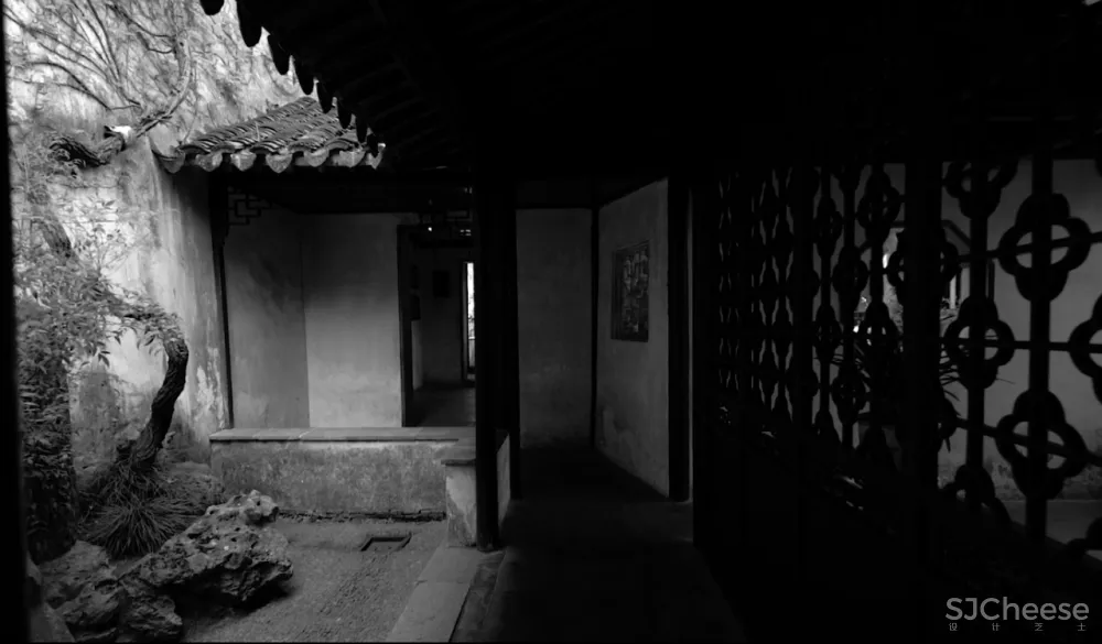 深度 崇明东滩湿地科研宣教中心：“举重若轻”