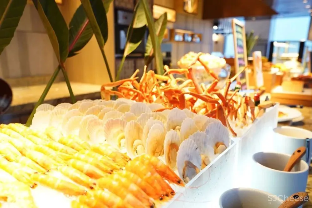 安藤忠雄新作-魔都西部第一高楼•上海嘉定凯悦酒店!