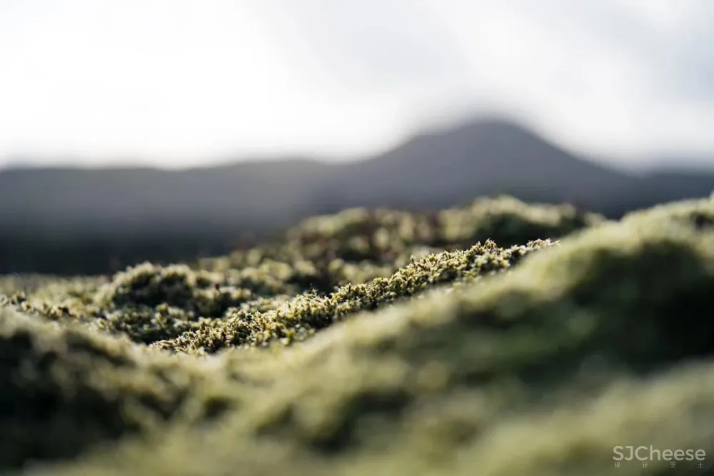 800年火山口的心灵治愈系酒店,全世界都来泡绝美蓝色温泉!