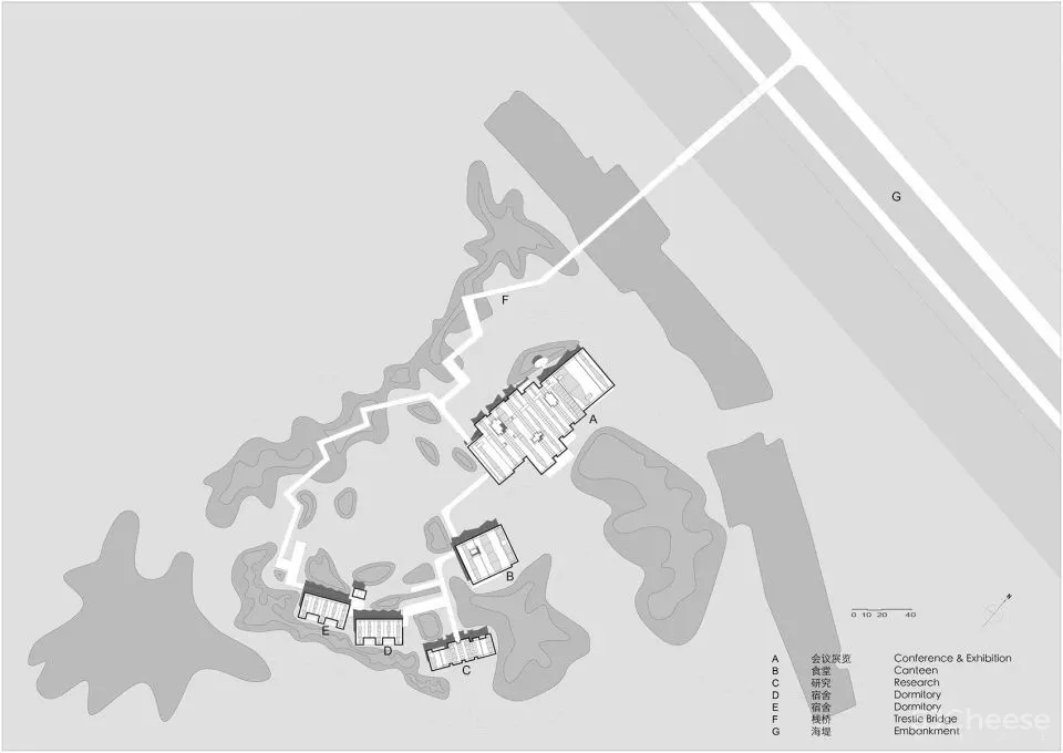深度 崇明东滩湿地科研宣教中心：“举重若轻”