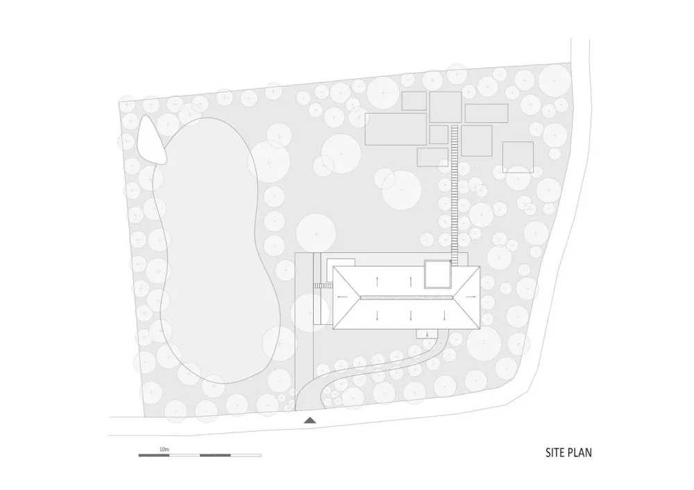 在郁郁葱葱的花园中,聆听大自然的旋律和声音