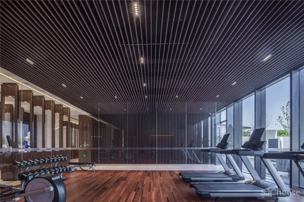 凌子达新作 疏影横斜间,延续空间的静雅