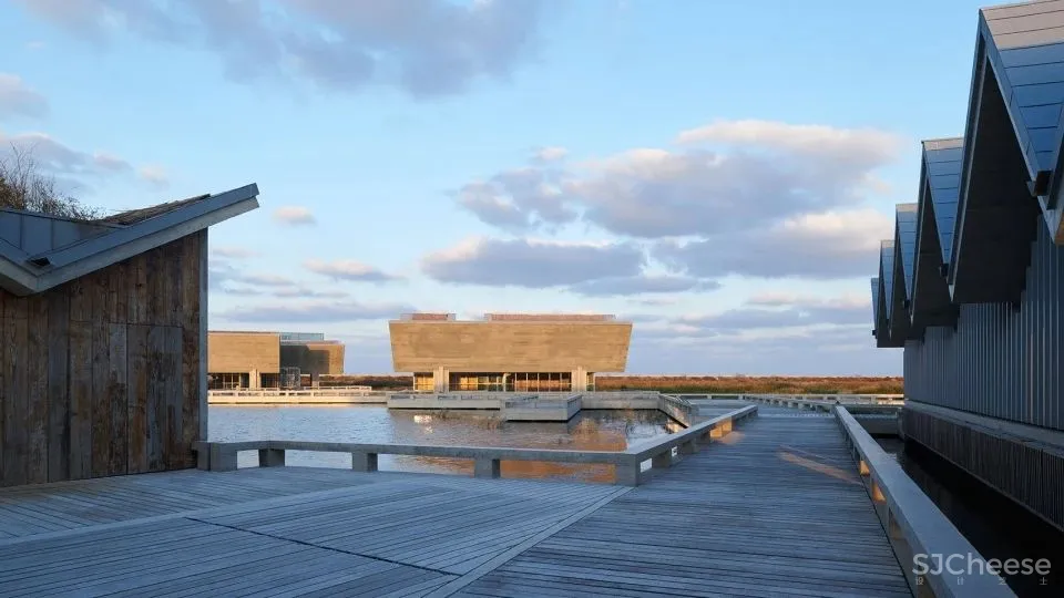 深度 崇明东滩湿地科研宣教中心：“举重若轻”