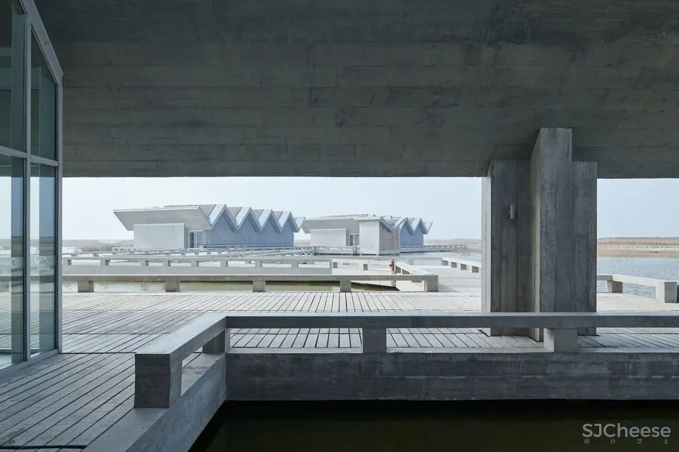 深度 崇明东滩湿地科研宣教中心：“举重若轻”