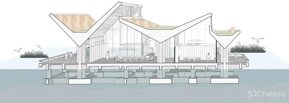 深度 崇明东滩湿地科研宣教中心：“举重若轻”