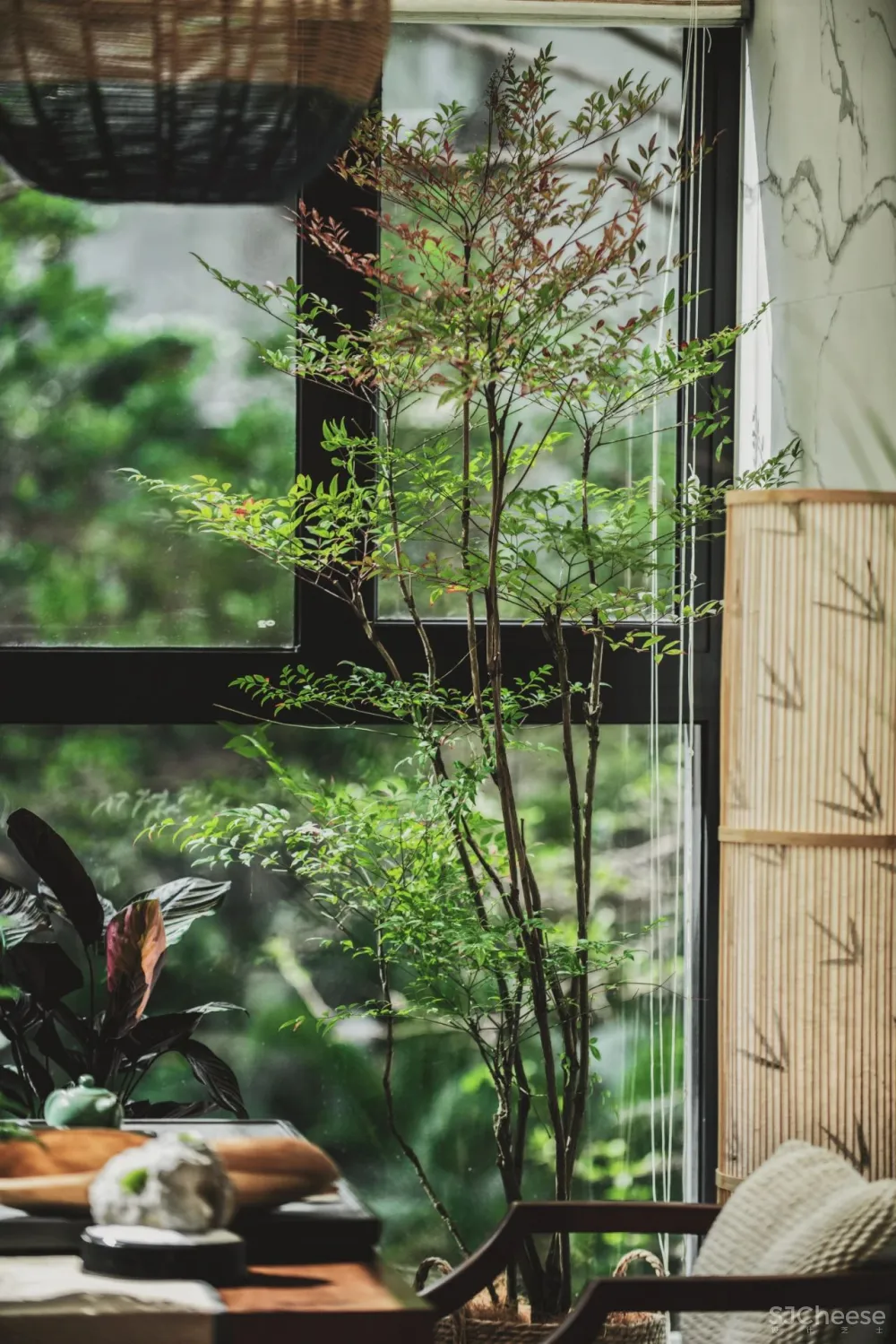 一度经纬丨香山里,在200㎡的房子里安置一座后花园