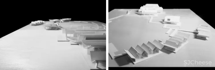 深度 崇明东滩湿地科研宣教中心：“举重若轻”