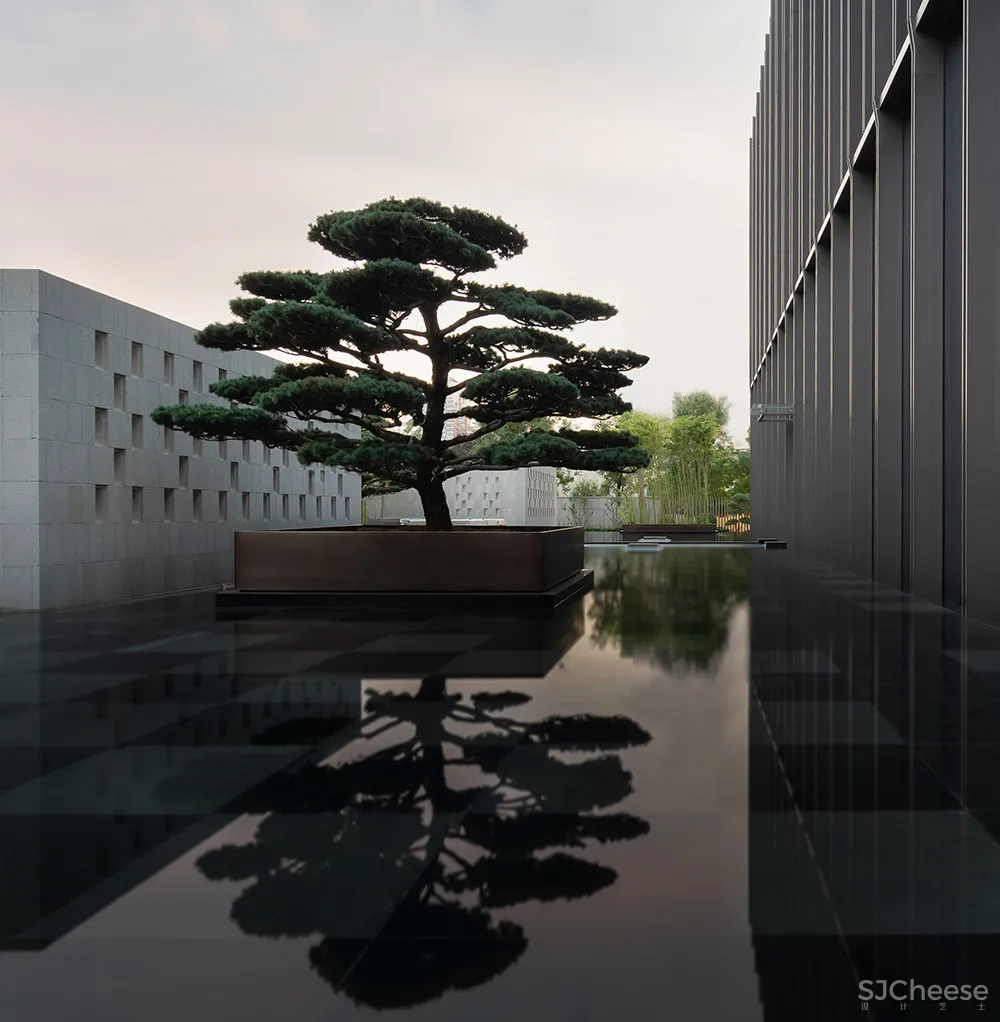 CCD新作 穿越千年而来的华贵端重