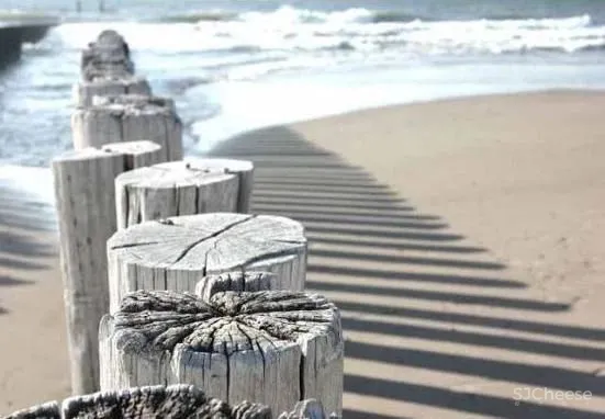 200㎡自然疗愈居所,极简至奢,彰显不凡!