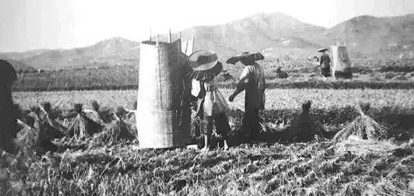 CCD-忙闲集 · 深圳机场凯悦酒店!