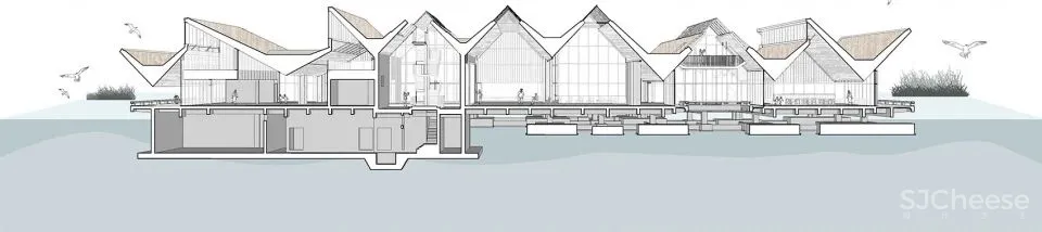 深度 崇明东滩湿地科研宣教中心：“举重若轻”