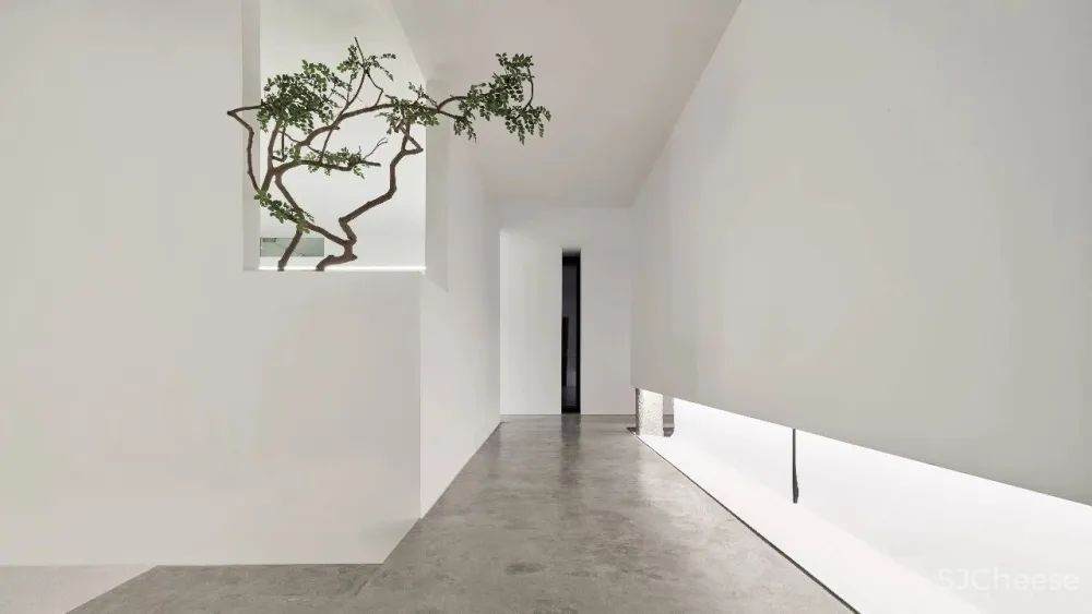 谢银秋:设谷设计事务所办公室! 中国国际室内设计年鉴