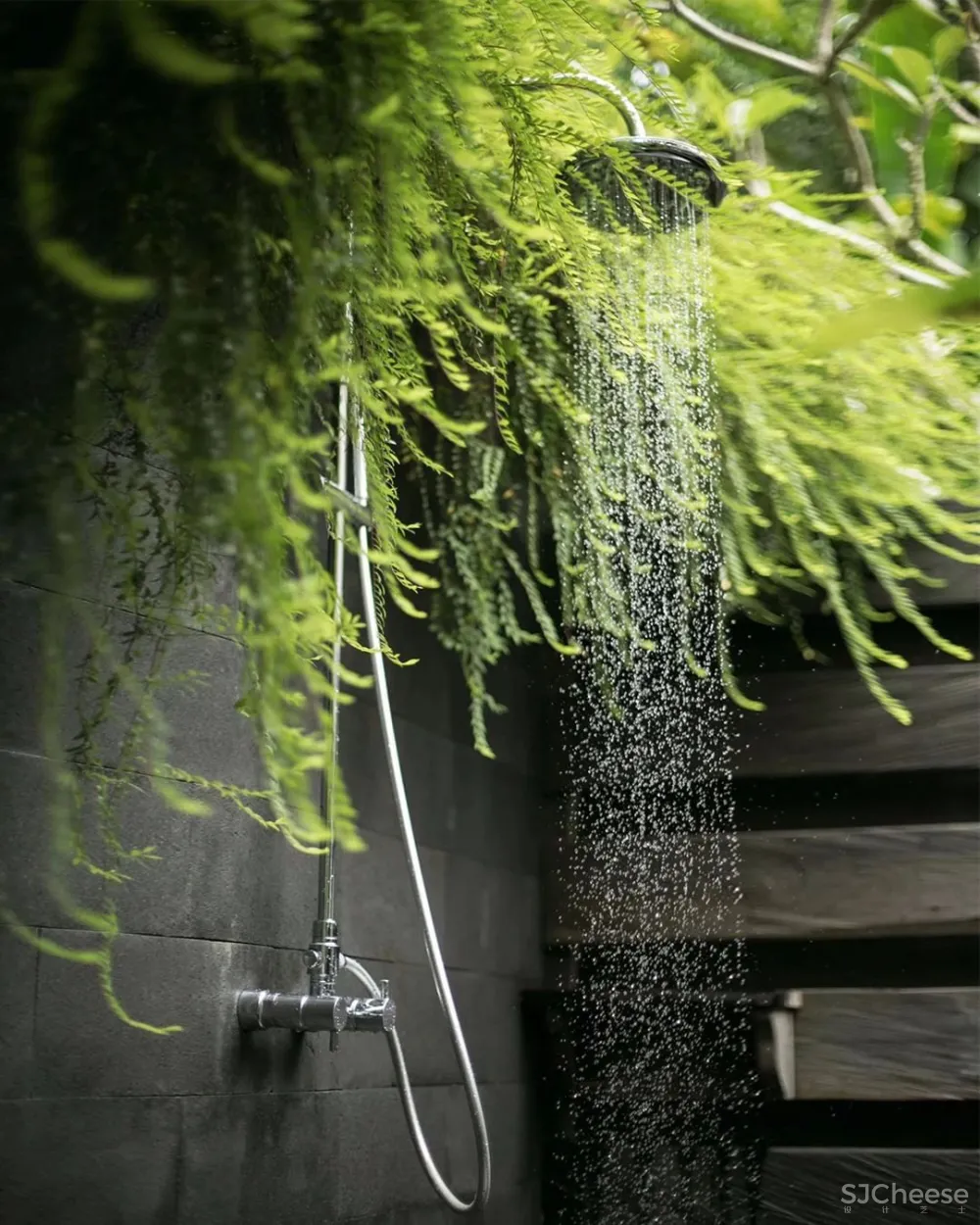 我向往的生活 简单 安静 质朴