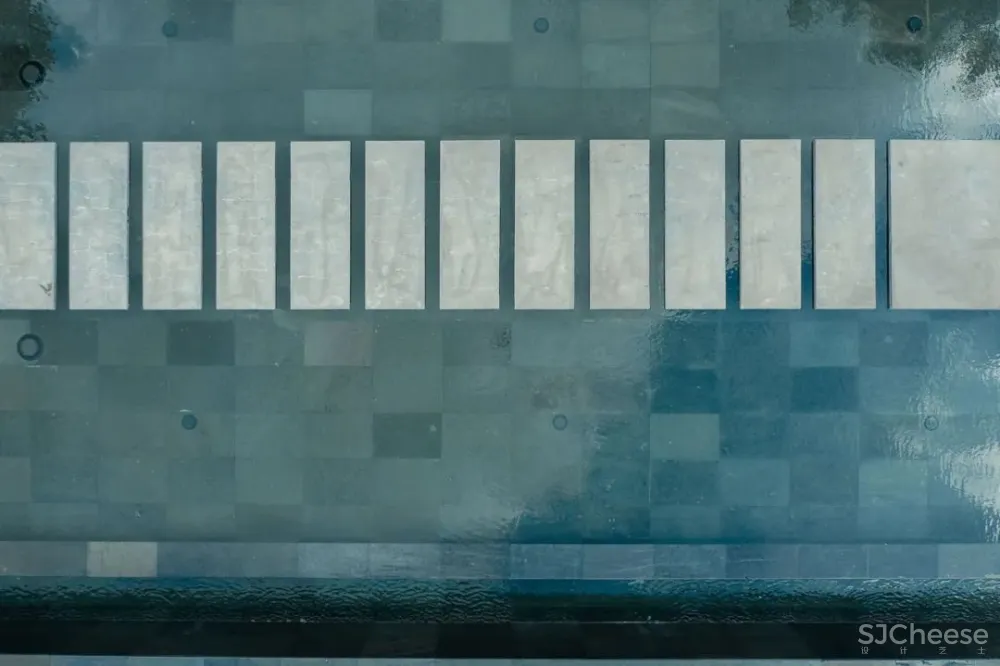 5Sólidos丨纵然人世间注定孤独 幸有些许温暖如初