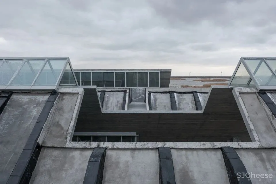 深度 崇明东滩湿地科研宣教中心：“举重若轻”