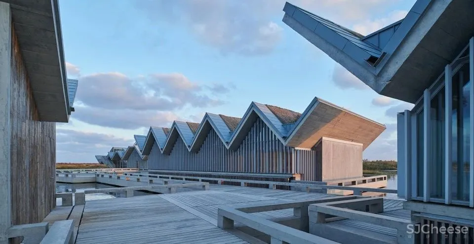 深度 崇明东滩湿地科研宣教中心：“举重若轻”