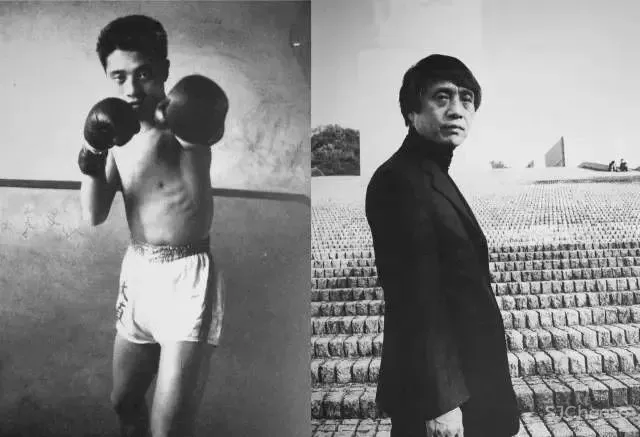 安藤忠雄新作-魔都西部第一高楼•上海嘉定凯悦酒店!