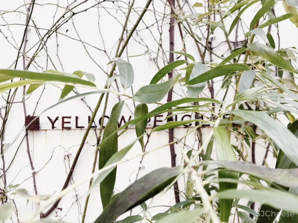 最新 | YELLOW PENCIL TEAM OFFICE,简约风格事务所