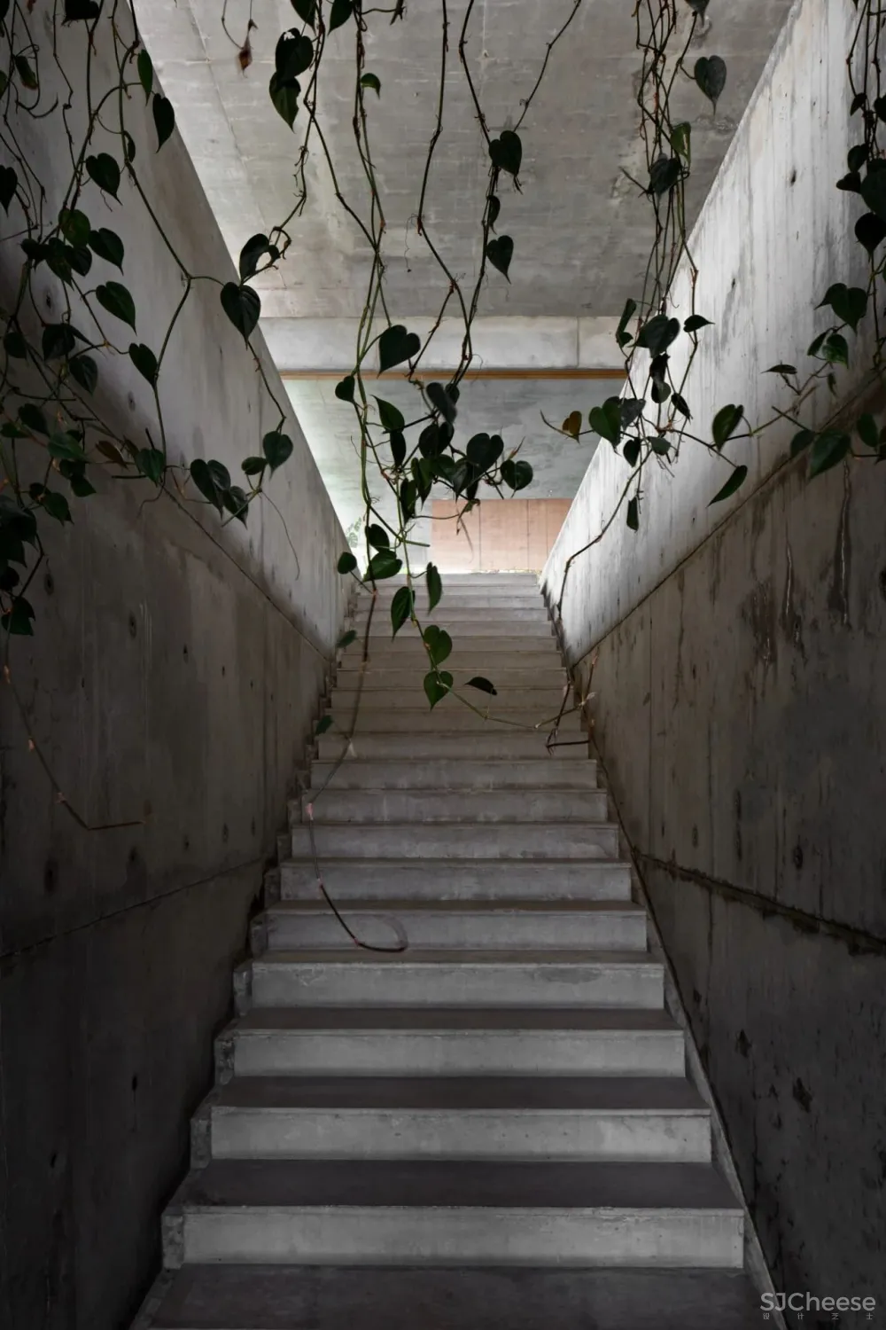 我在印度尼西亚万隆的安德鲁·马丁(Andra MATIN)