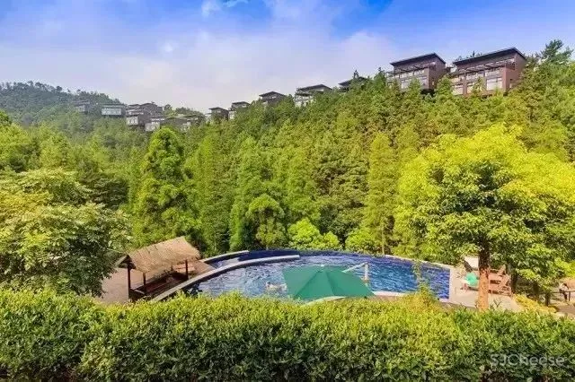 高端民宿设计、建造、运营考察学习