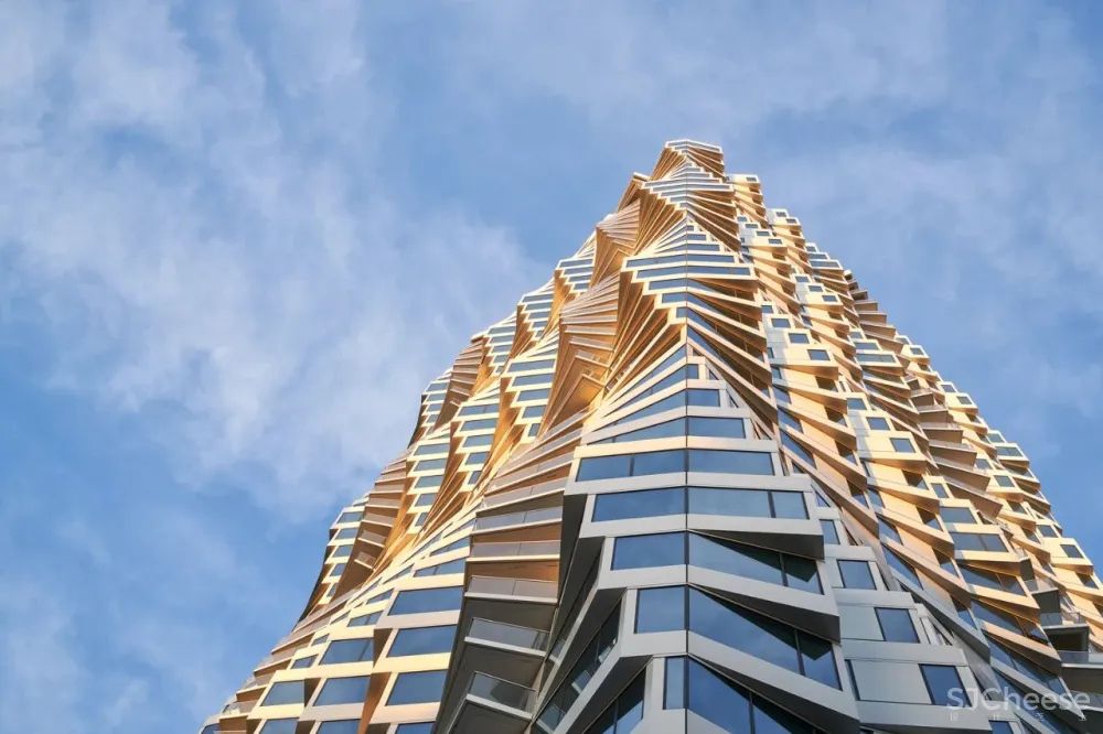 Vanke金山豪宅 万科出品